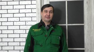 Фунгицид Провизор - обзор