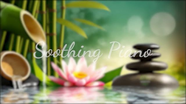 Música Zen Relajante con Sonidos de Agua de Bambú • Yoga, Masajes y Mindfulness