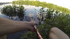 РЫБАЛКА НА РЕКЕ. ОТ ТАКИХ ПОКЛЕВОК БОЛЯТ РУКИ. ЛОВЛЯ ЛЕЩА НА ФИДЕР