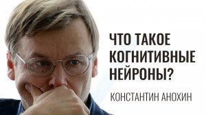 Что такое когнитивные нейроны. Константин Анохин