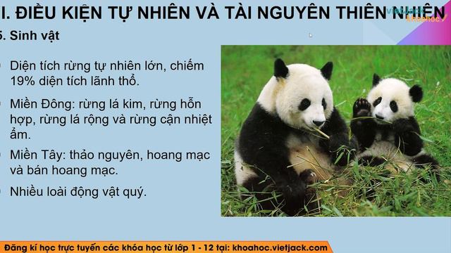 Địa lí 11 Cánh diều Bài 25: Vị trí địa lí điều kiện tự nhiên và dân cư xã hội Trung Quốc (HAY NHẤT) смотреть онлайн