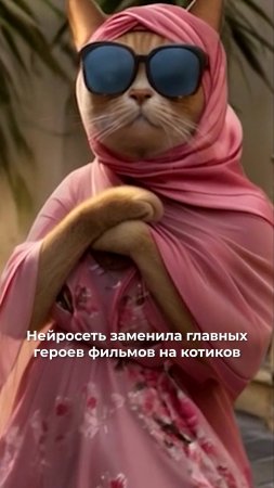 Коты - главные герои фильмов благодаря нейросети