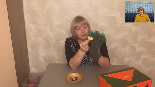 «Организация коррекционной работы с дошкольниками, имеющими особые образовательные потребности в ус