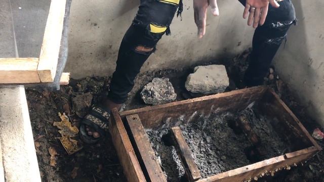 HOW TO CARE/HOUSE YOUR BABY SNAILS смотреть онлайн