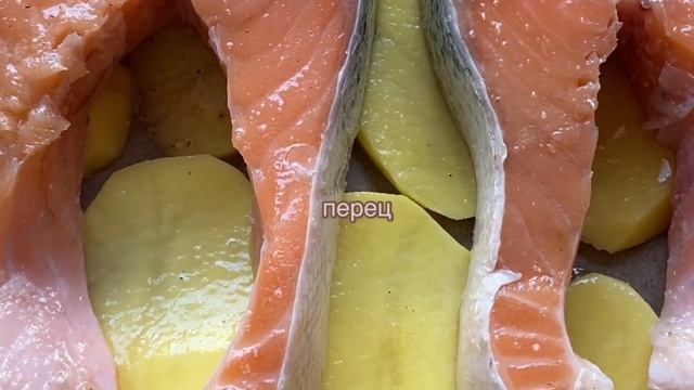 Сочная сёмга в духовке / պատրաստում ենք հյութեղ կարմիր ձուկ ջեռոցում смотреть онлайн