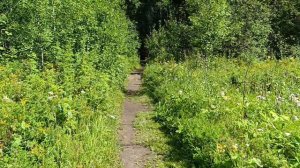 Оленьи Ручьи: 2 дня через весь парк с палаткой