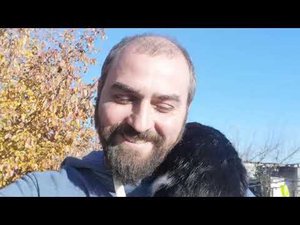Ухейилюшки и другие зверюшки