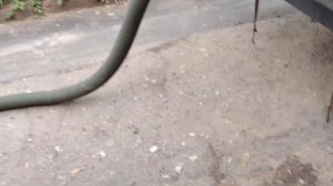 Откачка ассенизатором сливной выгребной ямы