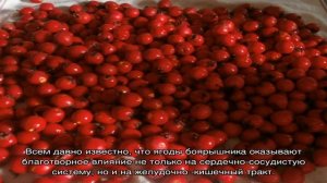 Как приготовить варенье из боярышника
