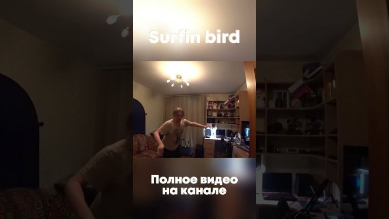 Surfin bird