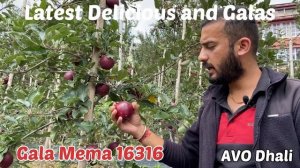 Latest Delicious and Gala Apple varieties and their suitable elevation.