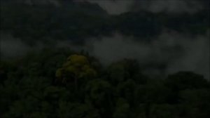 Музыка для  снятия стресса и восстановления биополя человека.