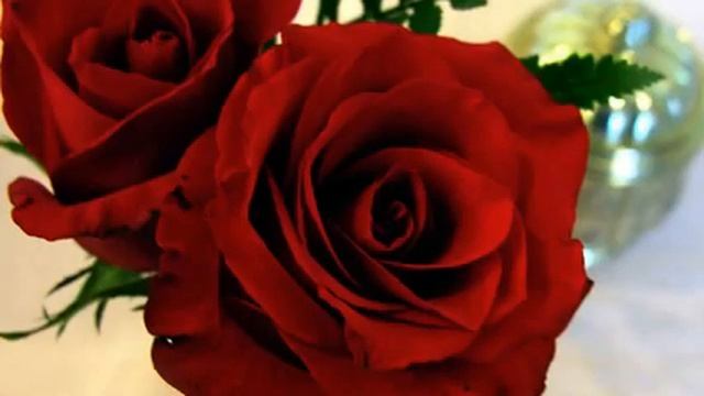 Хорошая музыка и фото онлайн смотреть онлайн