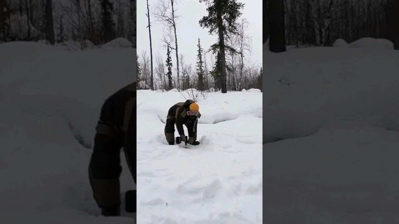 Лёд на ручье  #рыбалкавсибири #таёжный ручей #чебак #мохтик