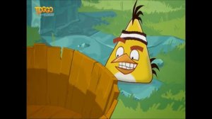 Angry Birds - Episode 1