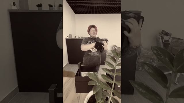 Яндекс Алиса в стиле король и шут! Ссылки в tg: tutskidon смотреть онлайн