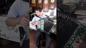 электро гармонь