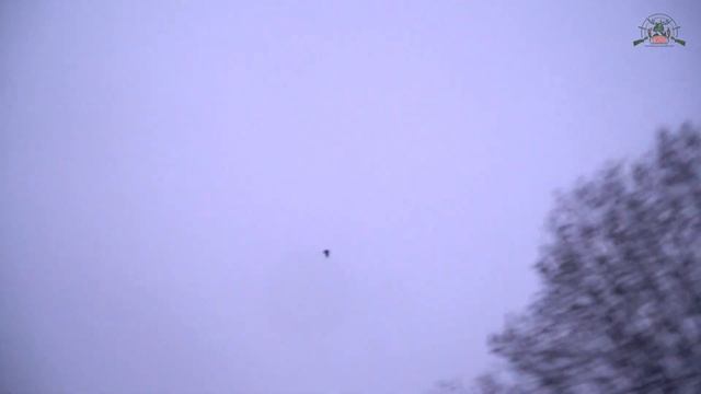 #ОХОТА НА СЕЛЕЗНЯ с подсадной уткой // Охотничье хозяйство ТИСС смотреть онлайн