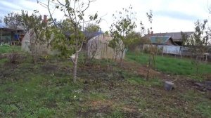 Готовим грядку под чеснок? Работы с виноградом? Жизнь на юге?