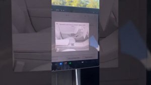 Как сбросить сервис шин на Тесла Модель 3 Tyre service Tesla Model 3