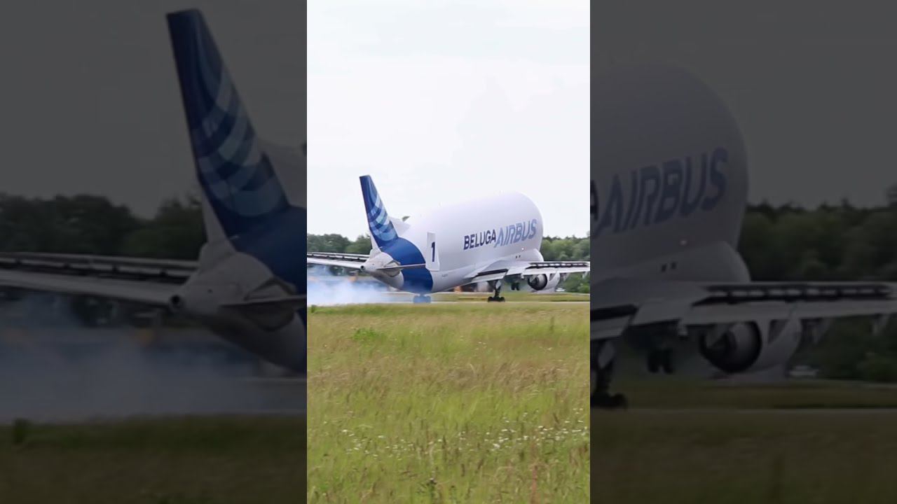 Посадка необычного самолёта - Airbus Beluga