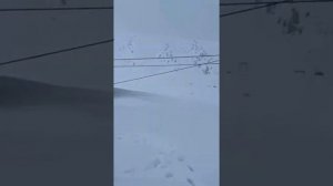 Сафед дара (горнолыжный комплекс в Таджикистане)