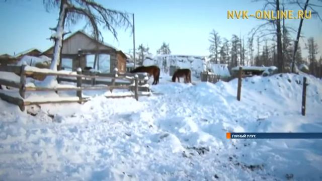 Причиной массового падежа скота в Горном районе стало отравление угарным газом