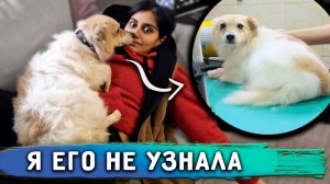 Готовим Кузю к отправке. Я не узнала Алекса.Рей сам включает свет.Дуню и Тошку Вакцинировали