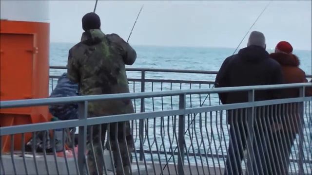 Треска камбала смотреть онлайн