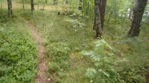 Покатушки по Вуоксе на остров Извилистый 12.08.2017