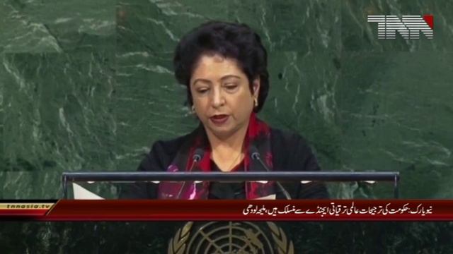 Government's priorities are linked to the global development agenda, Maliha Lodhi смотреть онлайн