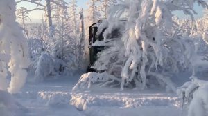 3303 за дровами