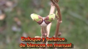 Canon Legria HF R106 - Primeras pruebas