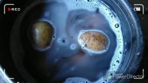 Повторная посадка молодого картофеля в июле.Тонкости посадки.Сорта картофеля