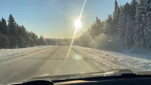 Красота зимнего леса . По трассе на Кемерово.