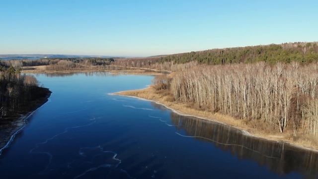 Сосновый лес [4k] смотреть онлайн
