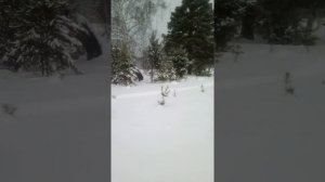 Рыбак 2м дубль два !