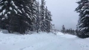 Toyota Sequoia Driving On Snow