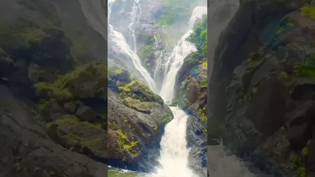 Dudhsagar Waterfall Goa #waterfalls #goa #dudhsagar #sohailvlogs