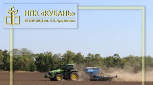 Сев озимого рапса 2024