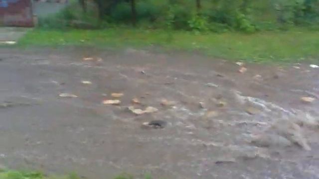 Рославль. Улица Каляева. Дождик 24 мая 2013 год. смотреть онлайн