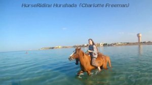 HorseTrips Hurghada . Конные прогулки в Хургаде. Купание в море на лошадях.