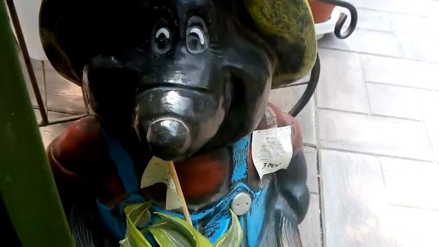 Комнатный цветы .Обзор комнатных растений в цветочном магазине. смотреть онлайн