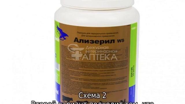 Чем пропоить цыплят в первые дни жизни в домашних условиях смотреть онлайн