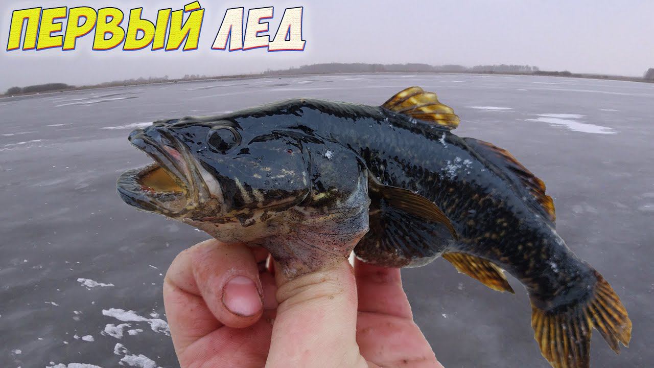 ОЧЕНЬ ОПАСНЫЙ ПЕРВЫЙ ЛЕД!!! ЗИМНЯЯ РЫБАЛКА НА РОТАНА, В УРАГАННЫЙ ВЕТЕР смотреть онлайн