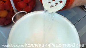 Помидоры в снегу от Дины