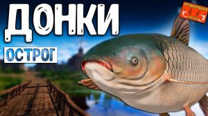 РР4/ рыбалка для души, ловим как универсал, общаемся 08.04.24