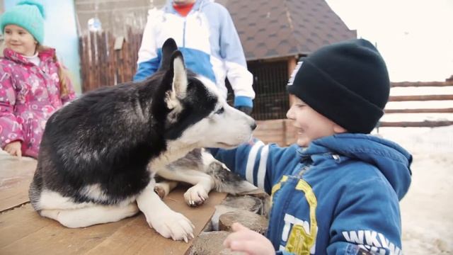 Твоя семья Твой праздник Твой Сочи смотреть онлайн