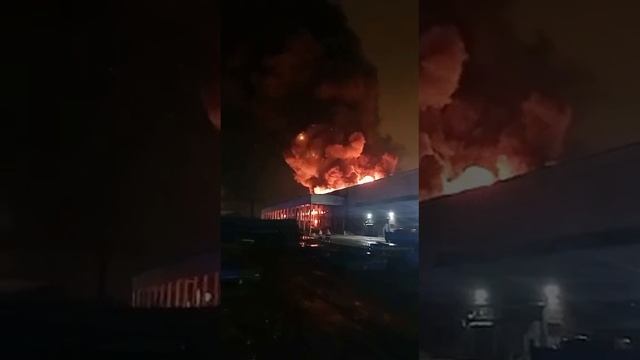 Мощный пожар охватил склад в поселке Металлострой в Петербурге