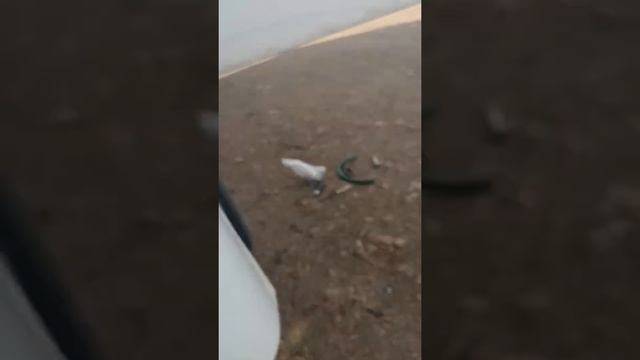 Рвд штуцара (штуцер) для ХОВО HOWO шланг высокого давления
